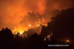 wildfire-raged-out-of-control-on-spanish-island-of-gran-canaria-_kuwait