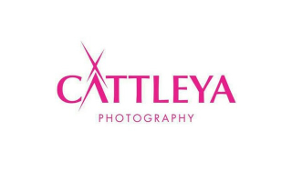 cattleya-studio_saudi