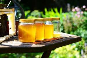 german-organic-honey-saudi