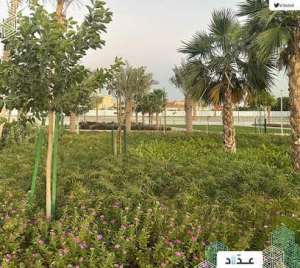 knoll-garden-saudi
