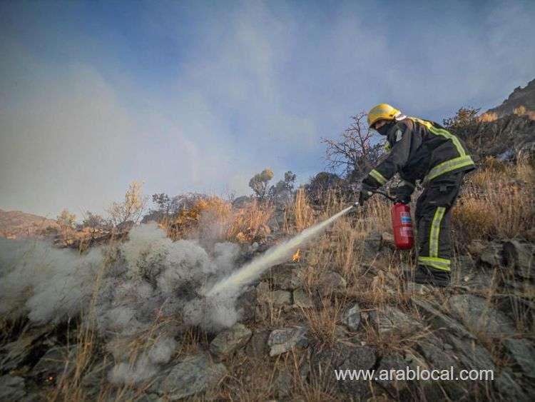 saudi-firefighters-battling-huge-bush-blaze-saudi