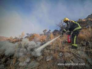 saudi-firefighters-put-out-another-huge-blaze-in-assir_UAE