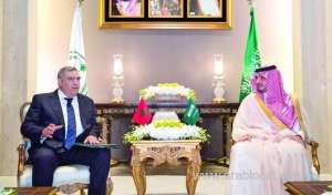 saudi-arabia’s-interior-minister-receives-moroccan-counterpart_UAE