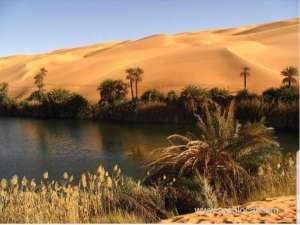 many-secrets-buried-under-the-sands-of-rub-al-khali_UAE