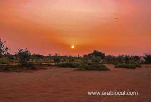 king-salman-aims-to-preserve-natural-environment-and-wildlife-in-saudi-arabia_UAE