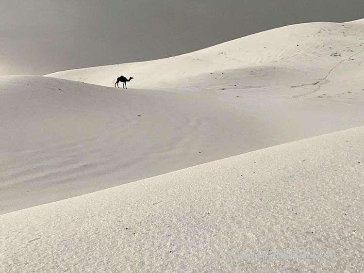 massive-hailstorms-and-rainfall-hit-saudi-arabia-saudi