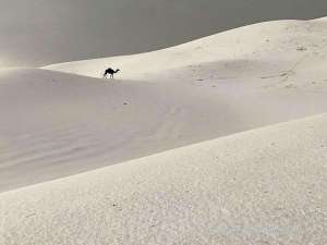 massive-hailstorms-and-rainfall-hit-saudi-arabia_UAE