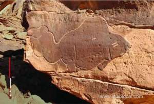 life-size-camel-carvings-found-in-the-saudi-desert_UAE