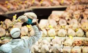 saudi-arabia-bans-poultry-imports-from-nepal-over-bird-flu_UAE