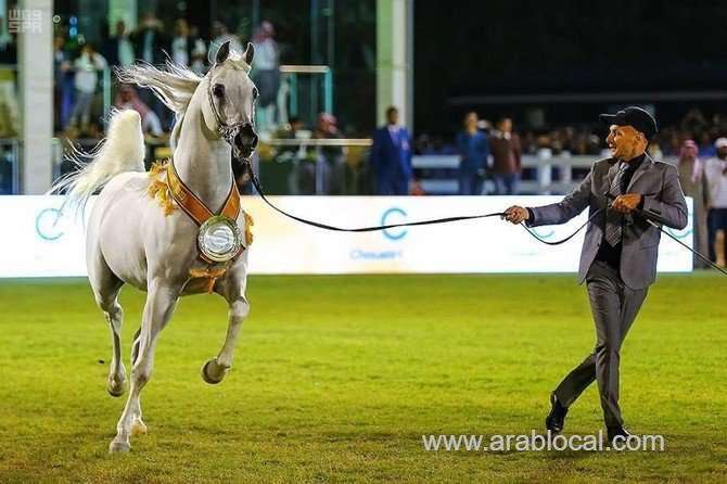saudi-arabia-and-the-love-of-the-arabian-horse-saudi
