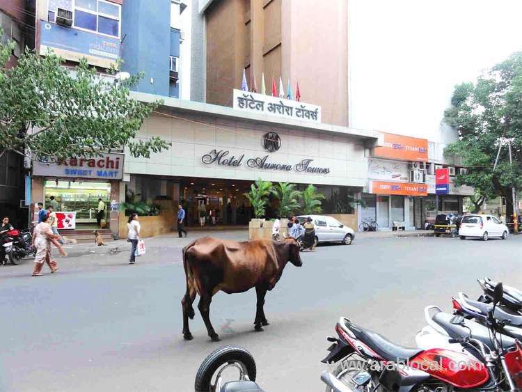 cow-was-arrested-for-killing-a-boy-in-south-sudan-saudi