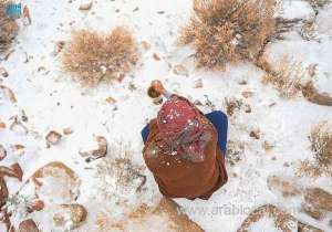 saudi-arabias-northern-mountains-are-covered-in-snow_UAE