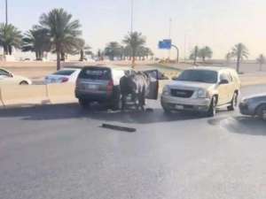rampaging-bull-causes-chaos-in-riyadh-damages-six-cars-and-sparks-panic_UAE