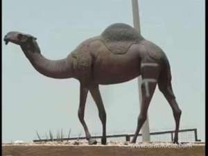 saudi-man-jailed-for-vandalizing-iconic-camel-statue_UAE