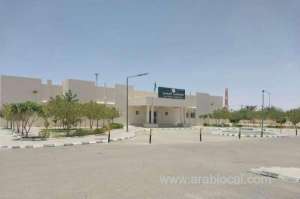 horrific-multicar-pileup-on-al-raynbisha-road-kills-4-injures-19-during-dust-storm_UAE