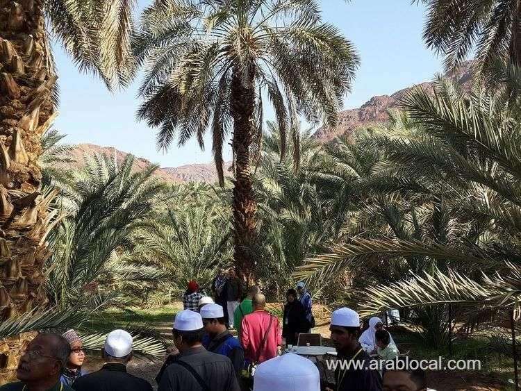 expat-faces-hefty-fines-for-uprooting-trees-in-medina-saudi-arabias-environmental-crackdown-continues-saudi