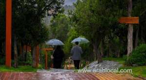 saudi-arabia-braces-for-heavy-rainfall-across-most-regions-ncm-issues-weather-warning_UAE