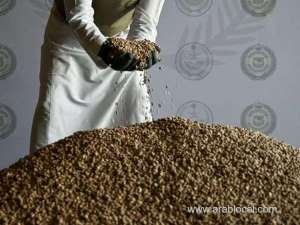 saudi-arabia-seizes-over-11-million-amphetamine-tablets-at-jeddah-port_UAE