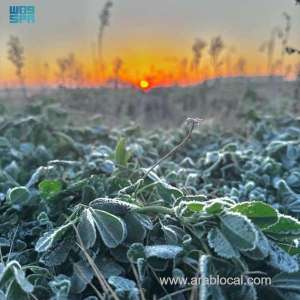 saudi-arabia-freezes-turaif-records-2c-as-cold-wave-sweeps-across-the-kingdom_UAE
