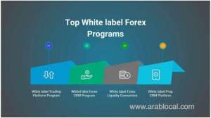 white-label--broker-collaboration-advanced-monetization-tactics-for-established-forex-affiliates_saudi
