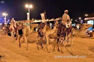 visitors-attracted-by-camel-caravans-at-jadat-okaz-market_UAE