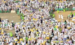 e-service-launched-to-provide-temporary-jobs-during-hajj_UAE
