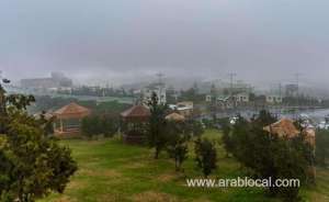 heavy-rains,-thunderstorms-expected-in-al-baha-province_UAE