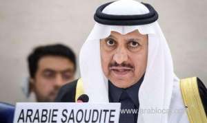 report-on-saudi-efforts-to-preserve-human-rights-approved-by-un_UAE