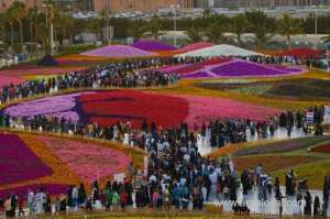 flower-show-of-yanbu-has-been-attracting-tens-of-thousands-of-visitors_UAE