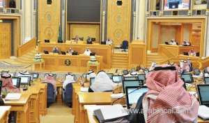 saudi-shoura-urges-entrepreneurship-fund-to-foster-industrial-link_UAE