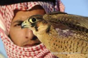 saudi-falconry-festival-set-to-open-on-jan-25_UAE