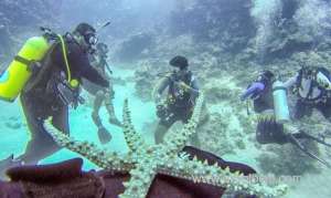 family-adventure-finds-new-depths_UAE