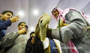 saudi-school-students-visit-falconry-festival-in-malham_UAE