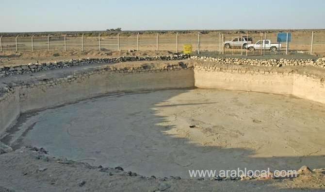 adventures-that-prove-the-empty-quarter-is-teeming-with-life-saudi