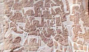a-man-and-his-dog-—-bonded-through-arab-history_UAE