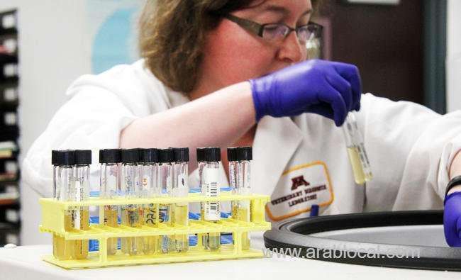 two-cases-of-h5n8-avian-flu-in-al-kharj-governorate-saudi