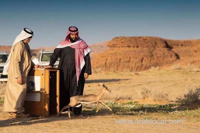 saudi-students-are-being-given-chance-to-study-abroad--saudi