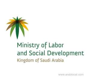 148,482-visas-under-private-driver-issued-during-the-first-quarter-of-2019_UAE