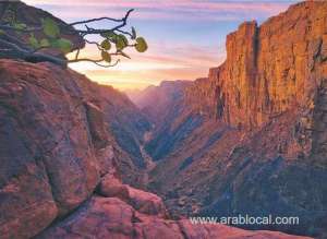 saudi-female-tourist-explored-environmental-tabuk-in-kingdom_UAE