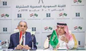 trade-between-saudi-arabia-and-egypt-has-increased_saudi