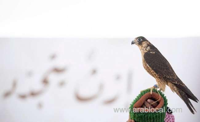 king-abdul-aziz-falconry-festival-takes-off-in-riyadh-saudi