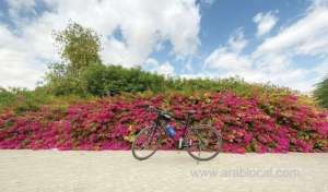 startup-of-week--spin-cycling-one’s-way-to-better-health-and-lifestyle_UAE