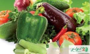 vegan-event-feeds-a-growing-market-in-jeddah_saudi
