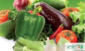 vegan-event-feeds-a-growing-market-in-jeddah_UAE