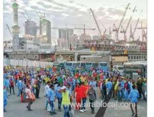 260-buses-daily-transport-10800-workers-in-haram_UAE