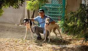 saudi-dog-lovers-take-lead-in-rehoming-citys-strays_UAE