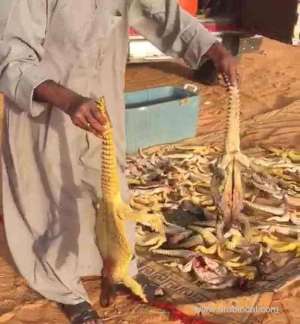 saudi-man-arrested-for-decimating-dozens-of-desert-lizards_UAE
