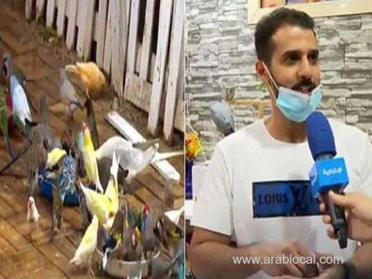 saudi-man-turns-roof-of-house-into-nature-reserve-with-more-than-200-birds-of-40-species-saudi