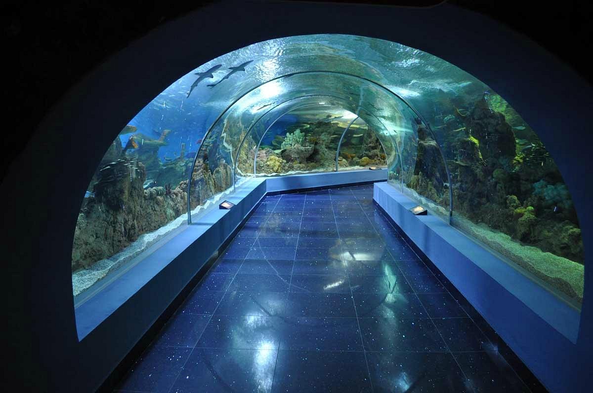 Fakieh Aquarium Jeddah